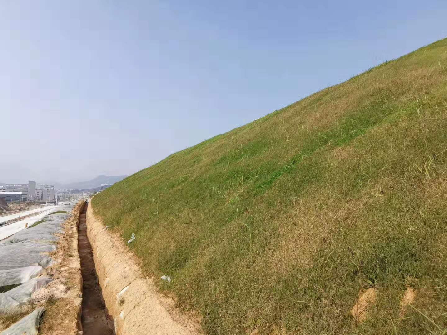 铜仁梵净山环线公路边坡绿化